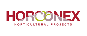Horconex-300x124