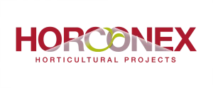 Horconex-300x124