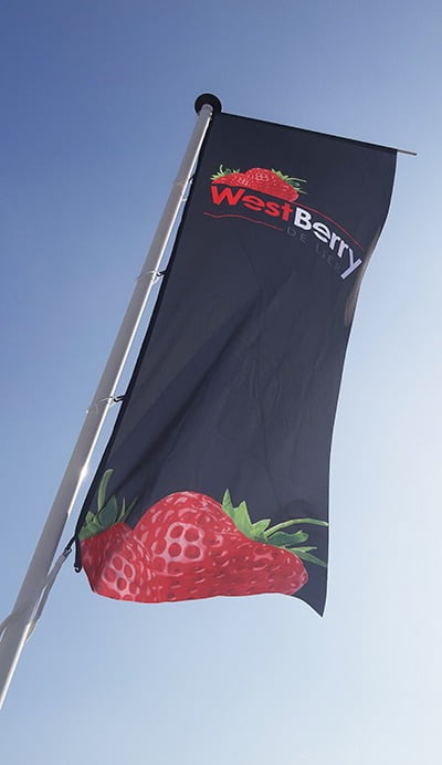 vlag westberry