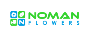 noman-flowers